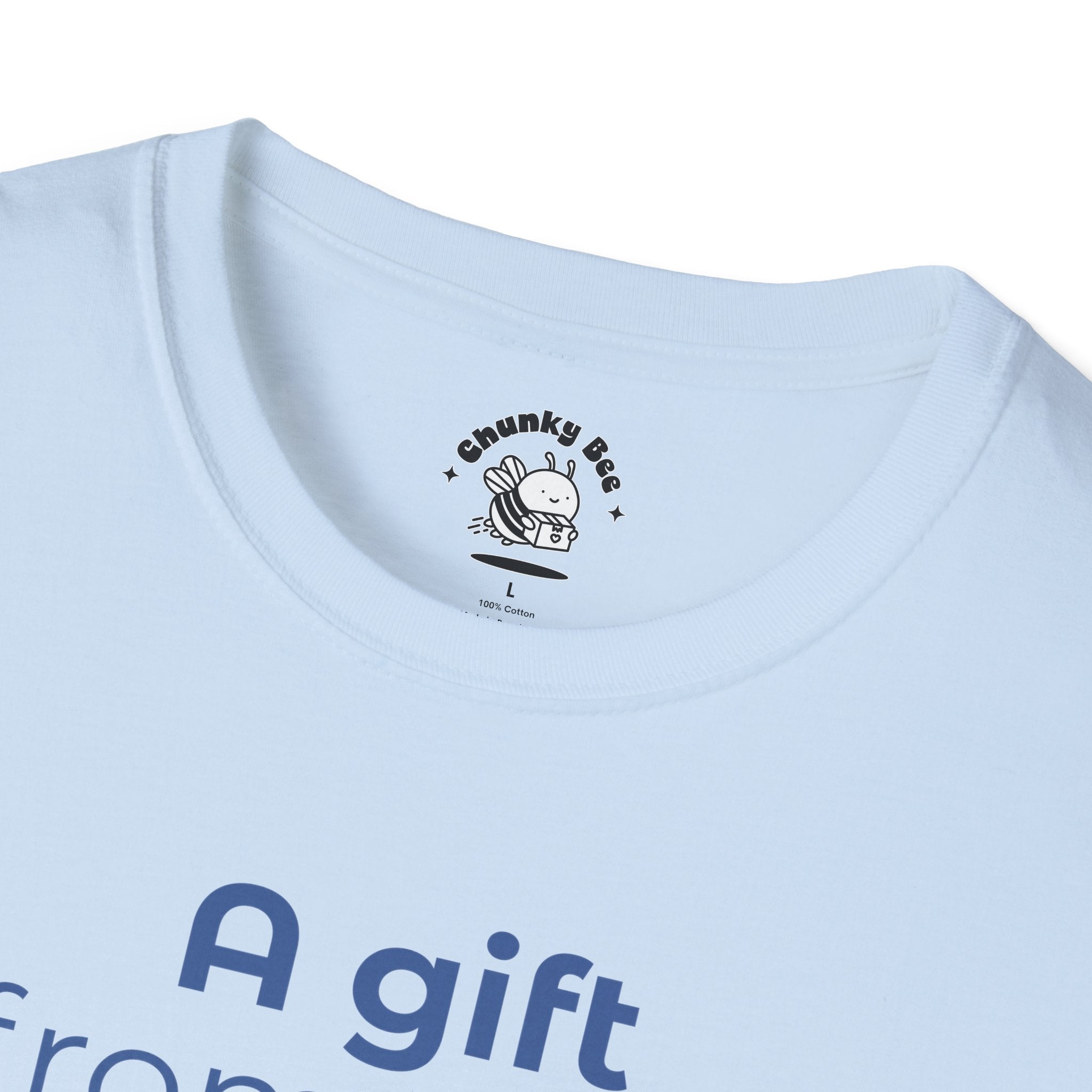 Favorite Son Gift for Mom T-Shirt – Funny Mother’s Day Shirt from Son | Mom Graphic Tee