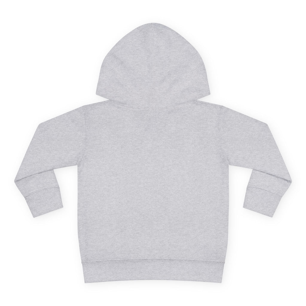 Boy Mom's Club & Mama's Boy Matching Hoodie Set, Sports Gray