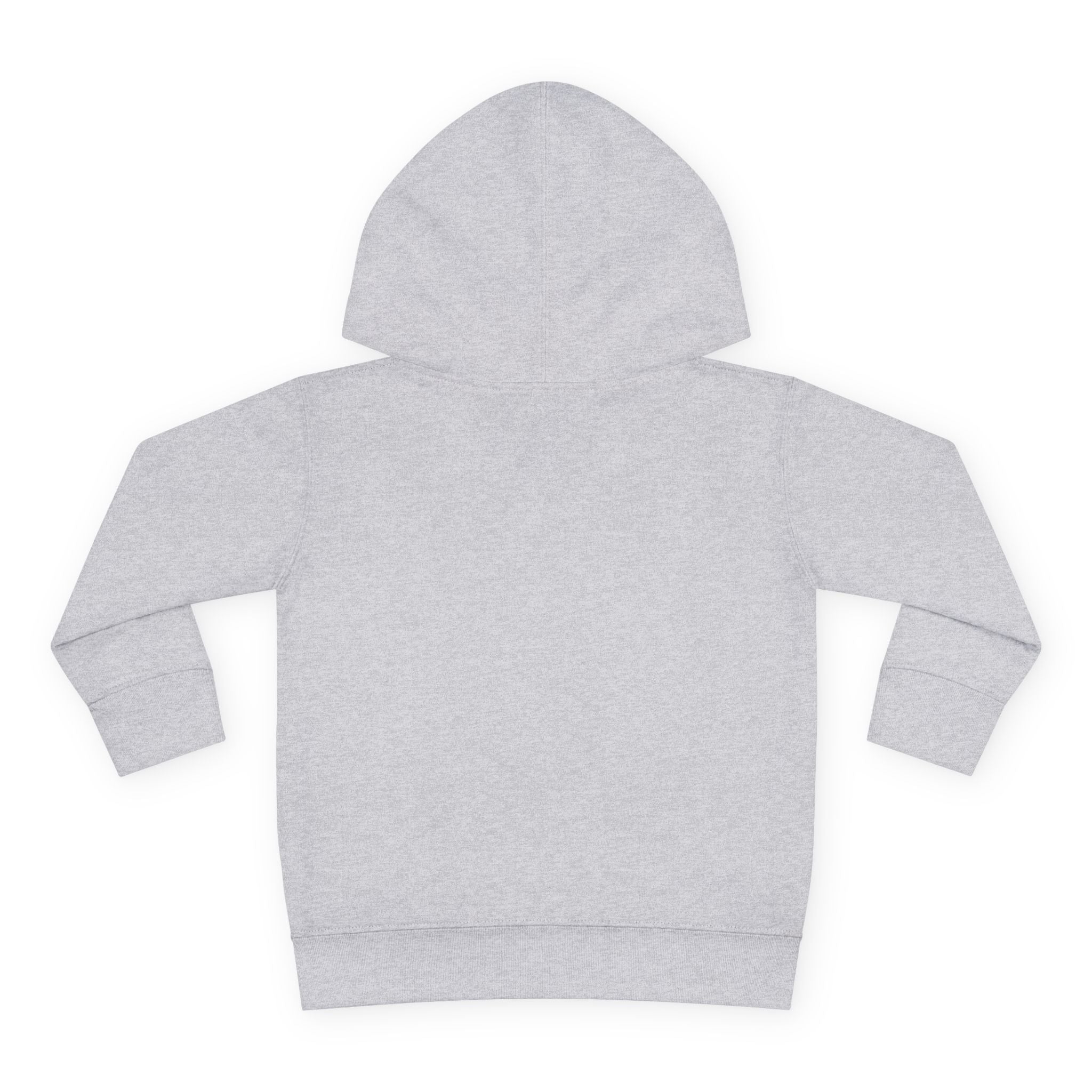 Boy Mom's Club & Mama's Boy Matching Hoodie Set, Sports Gray